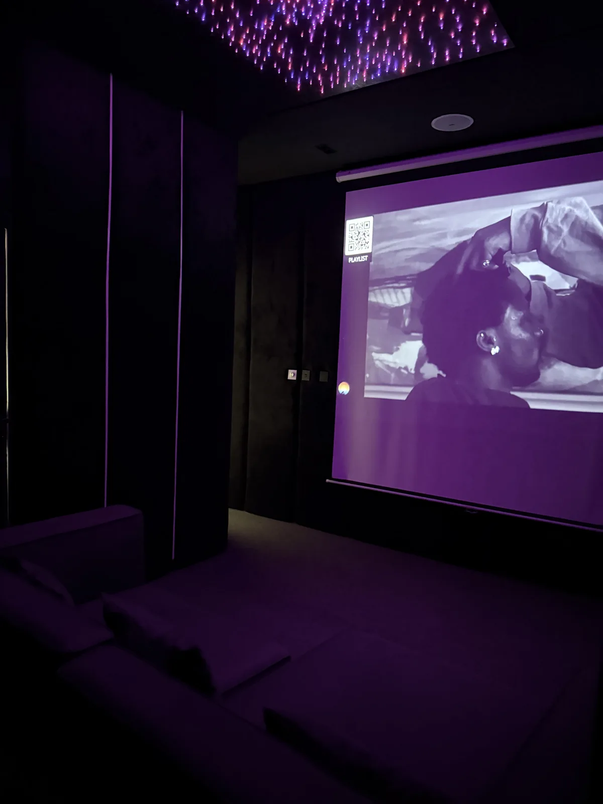 Alaska — cinema room, view 10