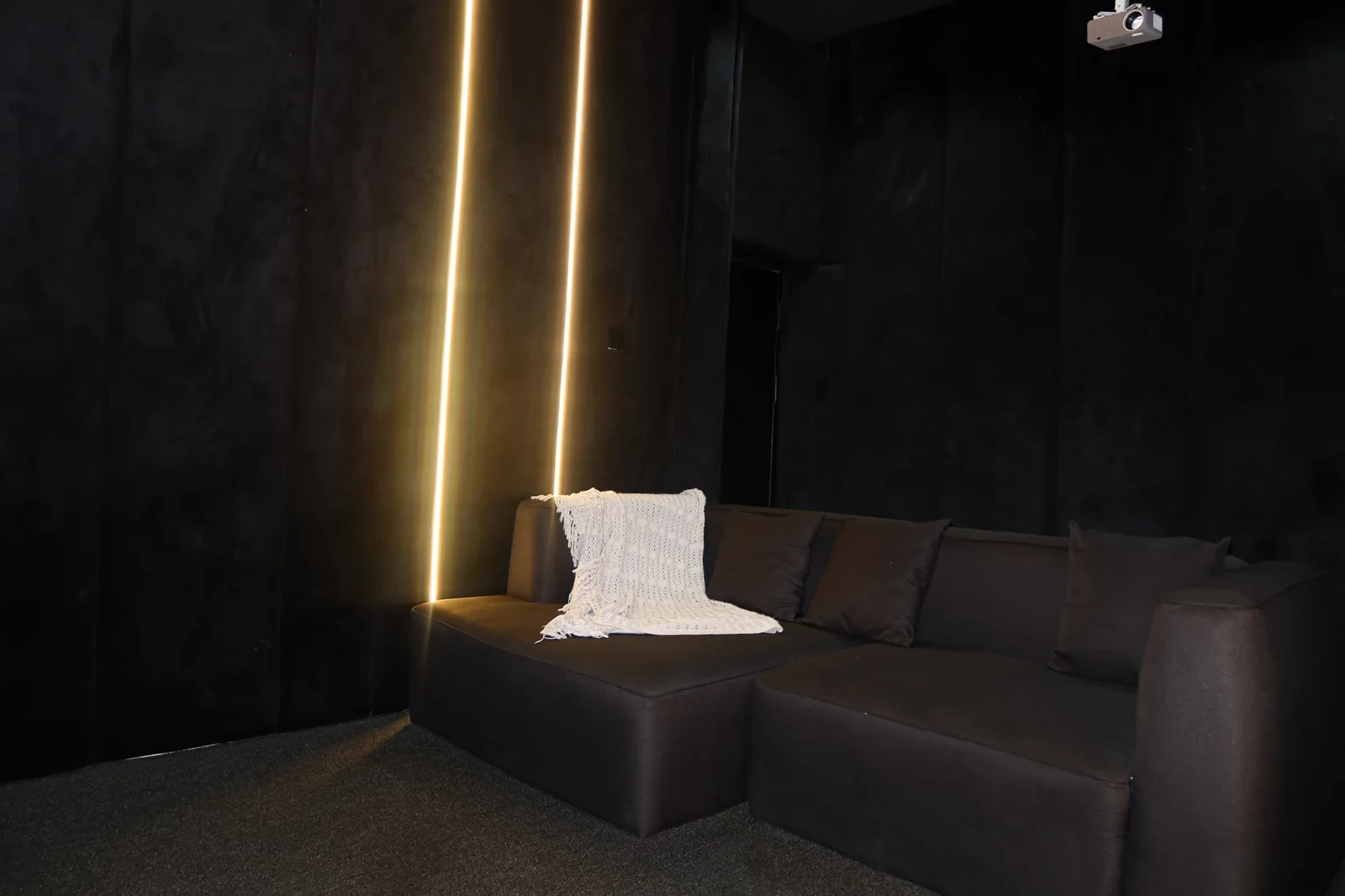 Alaska — cinema room, view 14