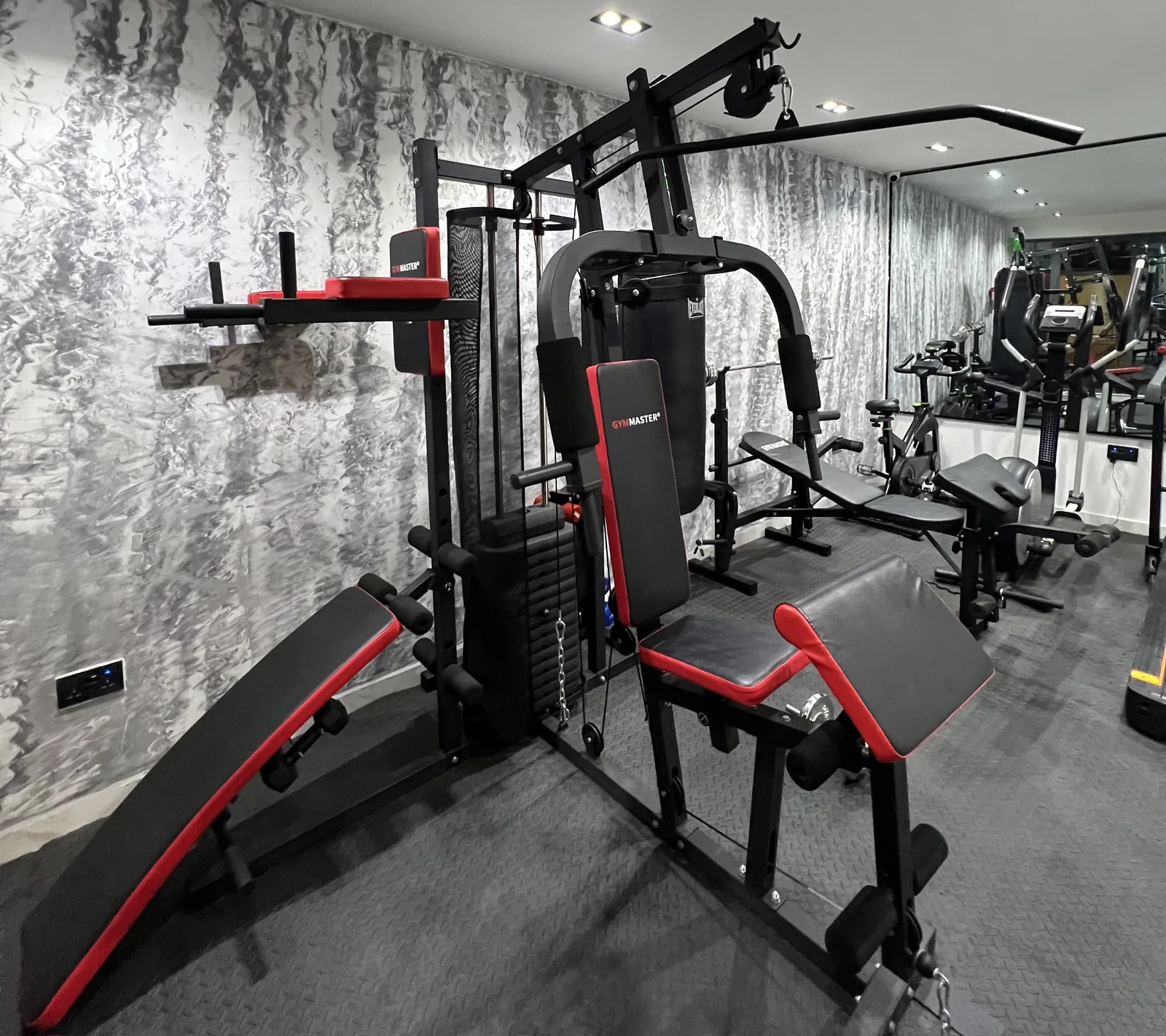 Ebony — shared gym, view 71