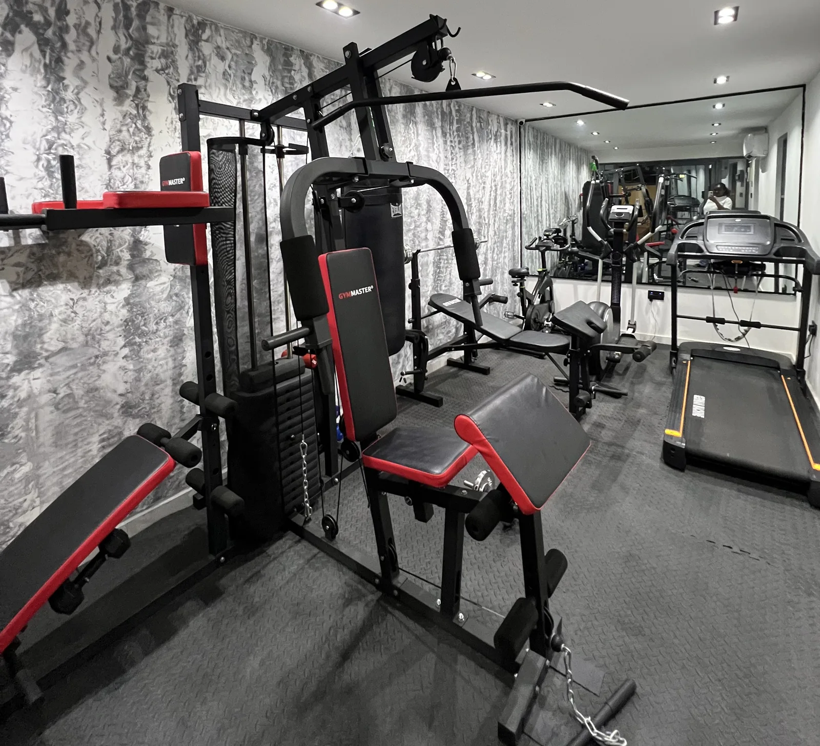 Ebony — shared gym, view 72